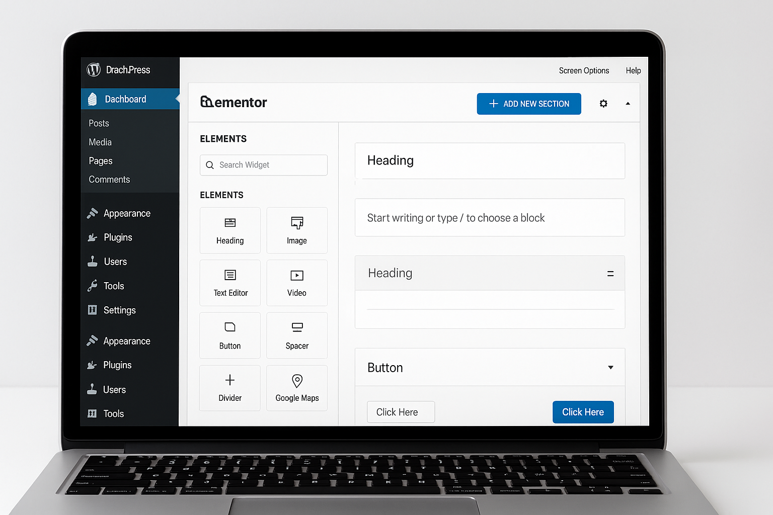 WordPress Development Services